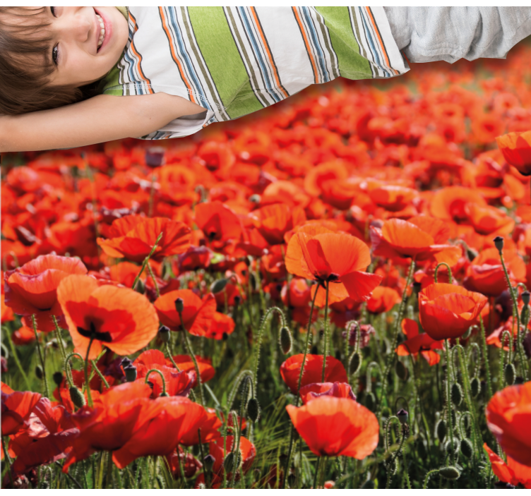 Vibrant Red Poppies floral rug - TenStickers