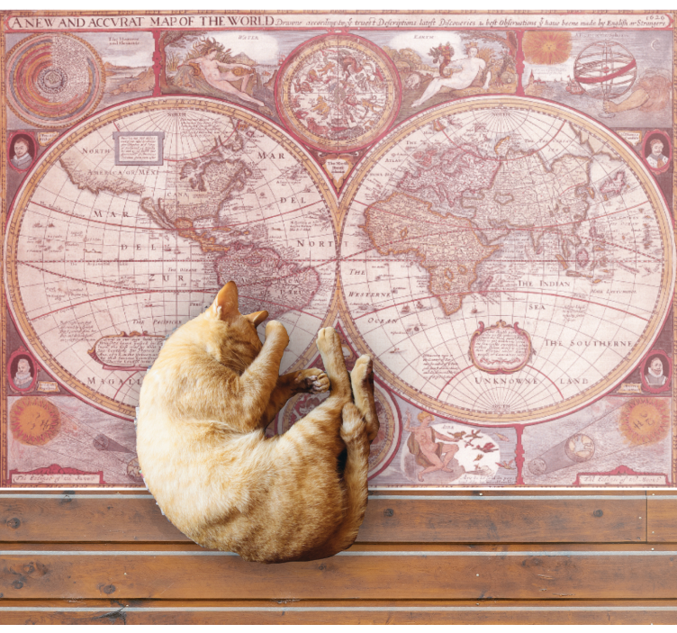 Vintage Globe Chart map rug - TenStickers