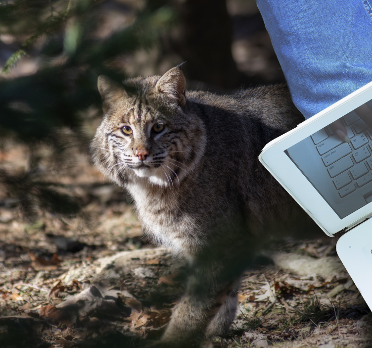 Wild cat scene animal mat - TenStickers