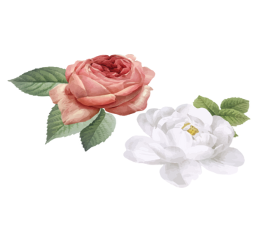 Bedroom carpet with white and pink roses - TenStickers