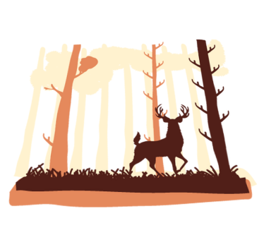 Bedroom carpet forest and deer design - TenStickers