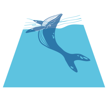 Bathroom mat whale shower screen decals - TenStickers