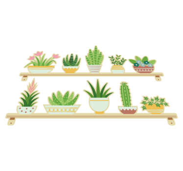 Kitchen vinyl mat cactus plant shelf set - TenStickers