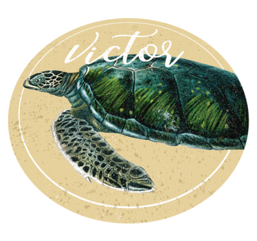 sea turtle with name personalised vinyl rug - TenStickers