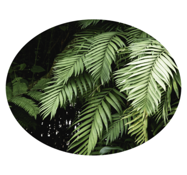 Jungle plants flower rug - TenStickers
