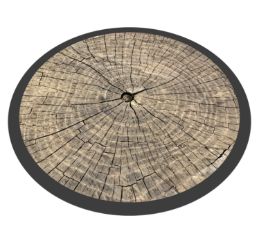 Log Cross-Section wood effect rug - TenStickers