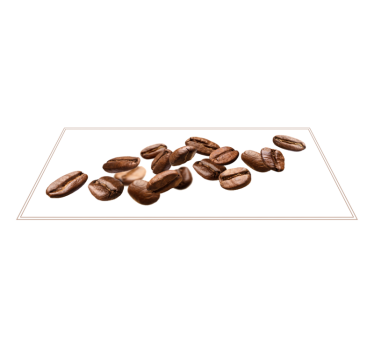 Coffee Bean Trail kitchen mat - TenStickers