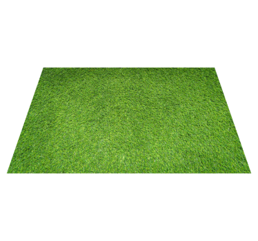 Realistic Green Grass vinyl rugs - TenStickers