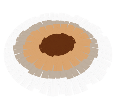 Circular trunk design wood effect rug - TenStickers