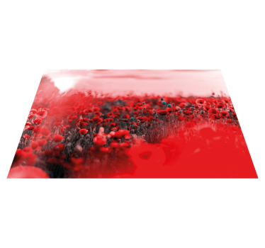 Crimson Bloom Landscape floral rug - TenStickers