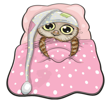 Cute Sleeping Owl kids carpet - TenStickers