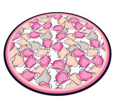 Blush fruit arrangement kitchen mat - TenStickers