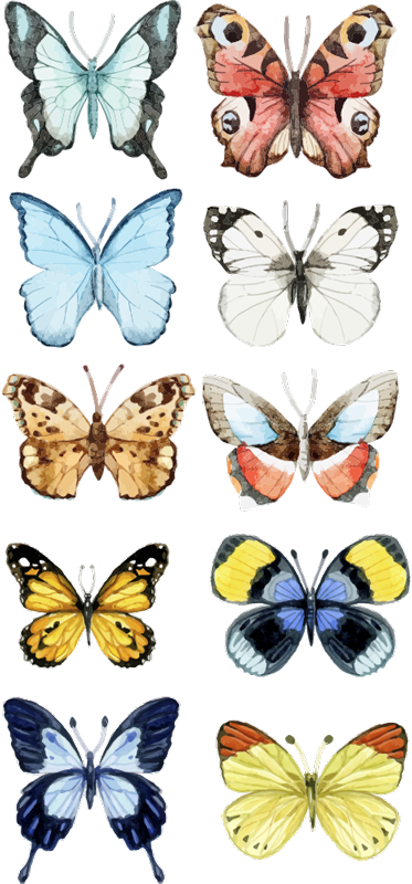 Animal mat with ten colorful butterflies - TenStickers