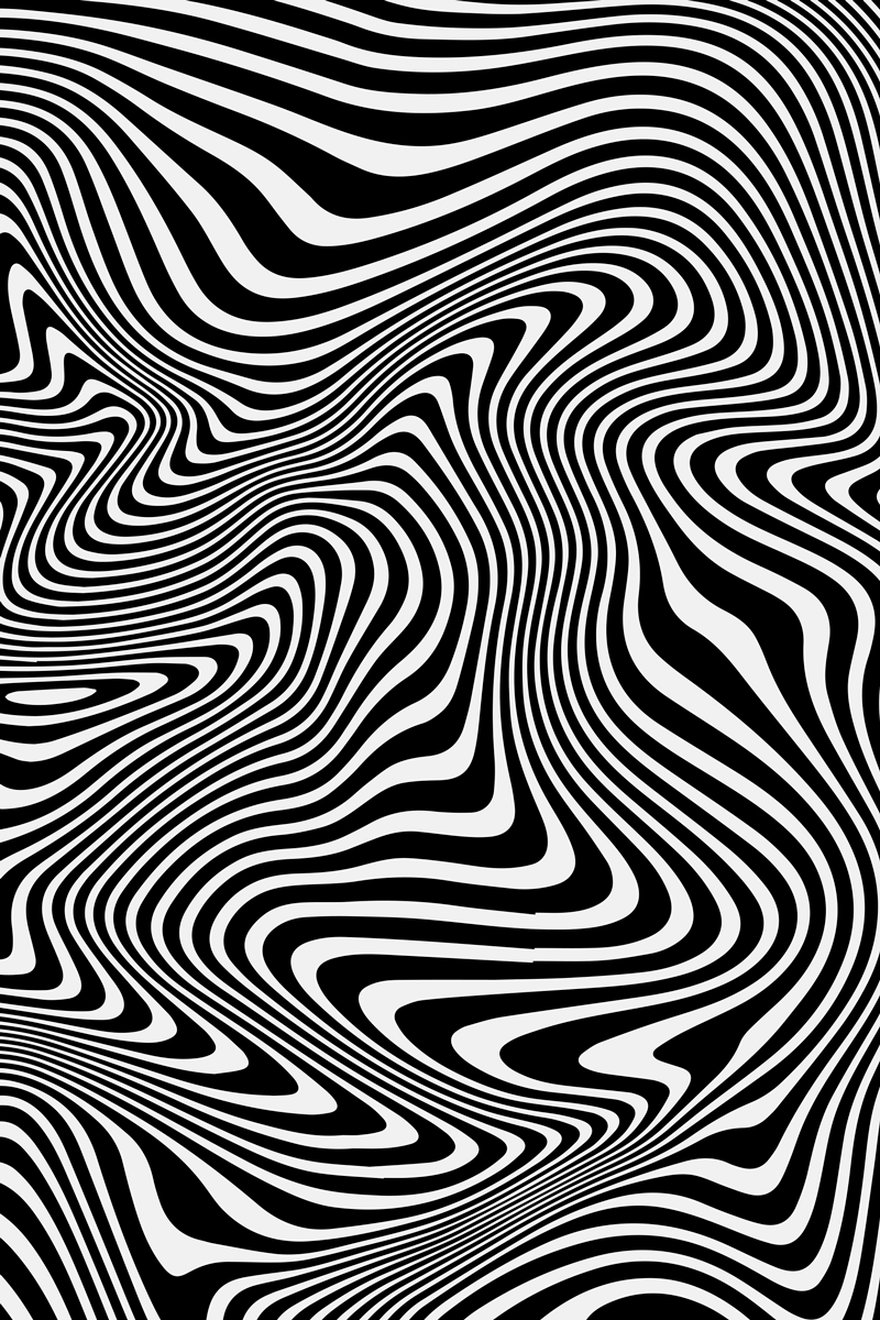 Zebra 3d effect animal mat - TenStickers
