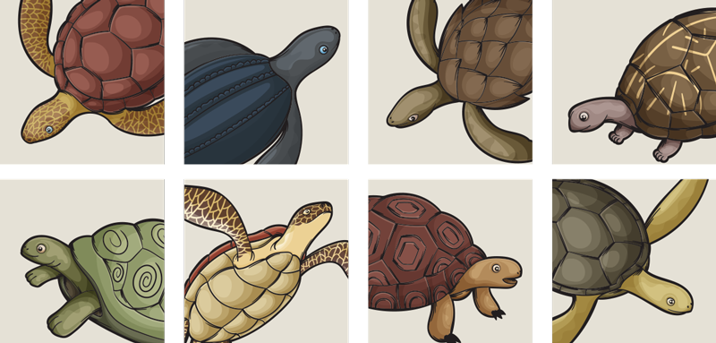 Animal mat variety of turtles tile - TenStickers