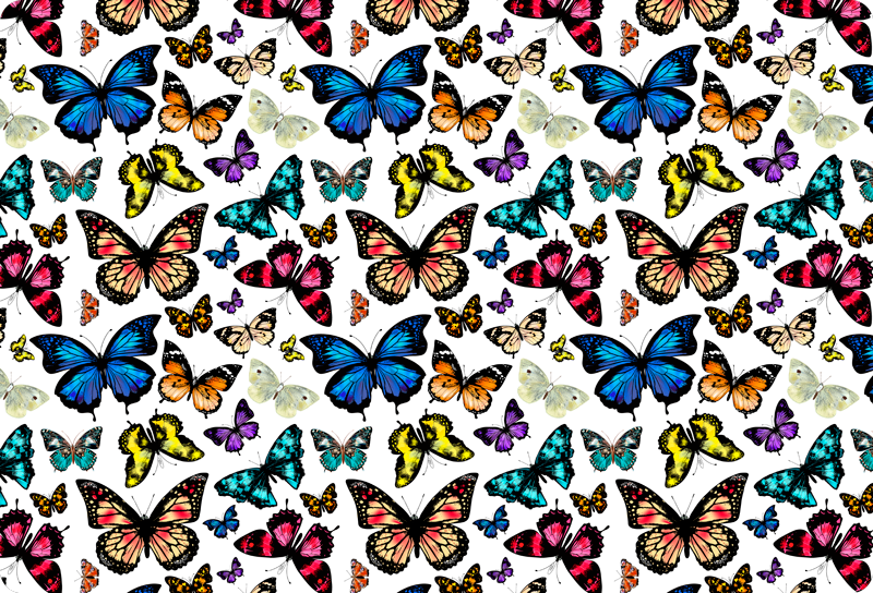 Animal mat with beautiful and colorful butterflies - TenStickers