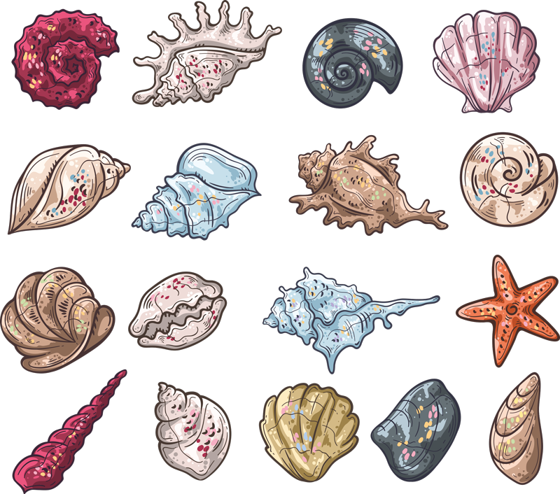 Animal mat seashell drawings - TenStickers