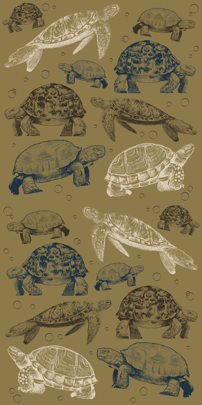 Beige background turtles animal mat - TenStickers