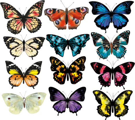 Animal mat with butterfly design - TenStickers