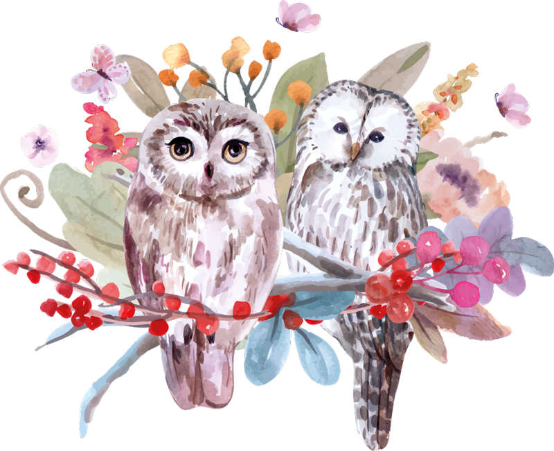 Animal mat owls in nature - TenStickers
