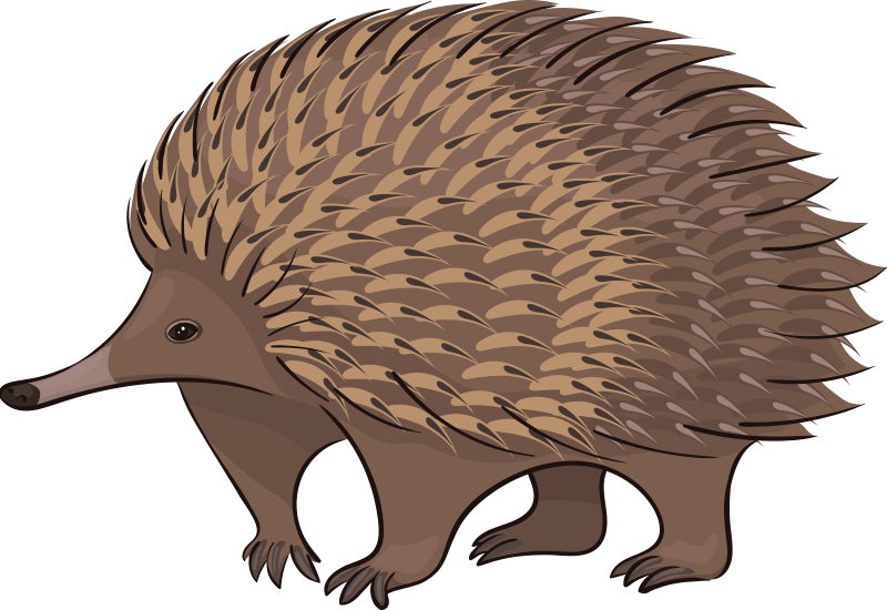 Animal mat with friendly hedgehog design - TenStickers