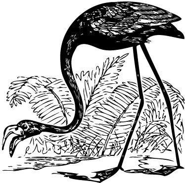 Animal mat flamingo with ferns - TenStickers