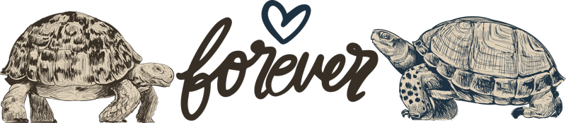 Animal mat turtles forever love quote - TenStickers