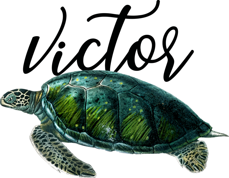 Animal mat customizable turtle design - TenStickers