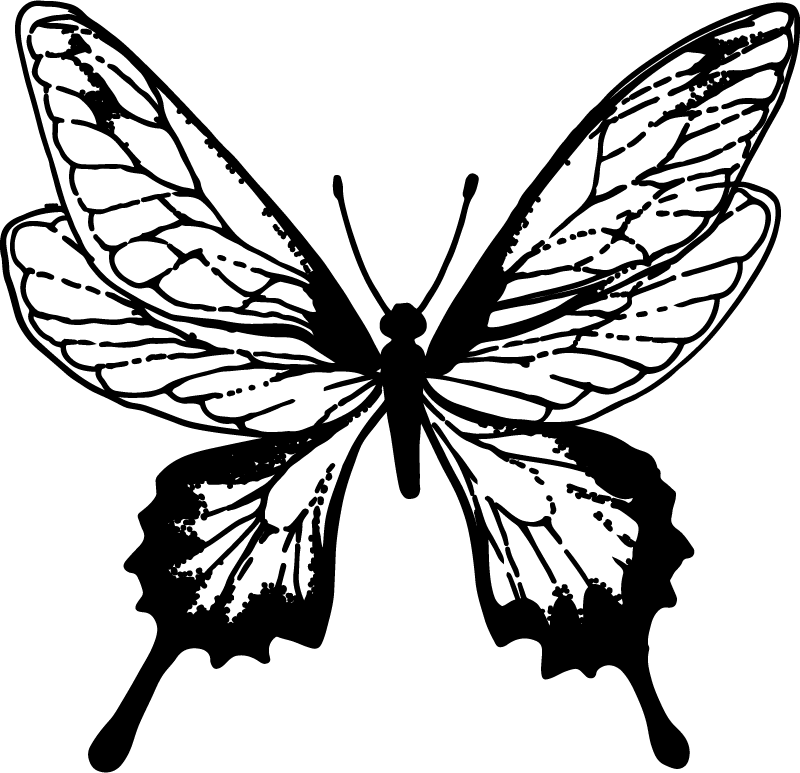 Animal mat graceful butterfly outline - TenStickers