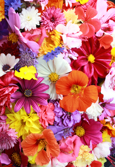 Floral rug with a variety of vibrant blooms - TenStickers