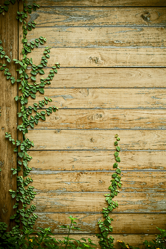 Floral rug with vines on wood design - TenStickers