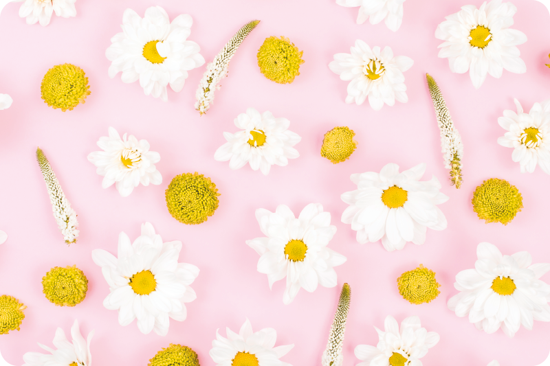 Floral rug with vibrant colored flowers - TenStickers