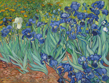 Floral rug van gogh blooms - TenStickers