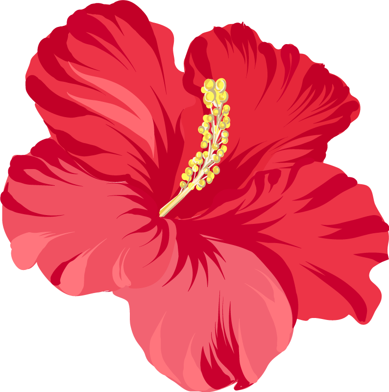 Floral rug red hibiscus flower set - TenStickers