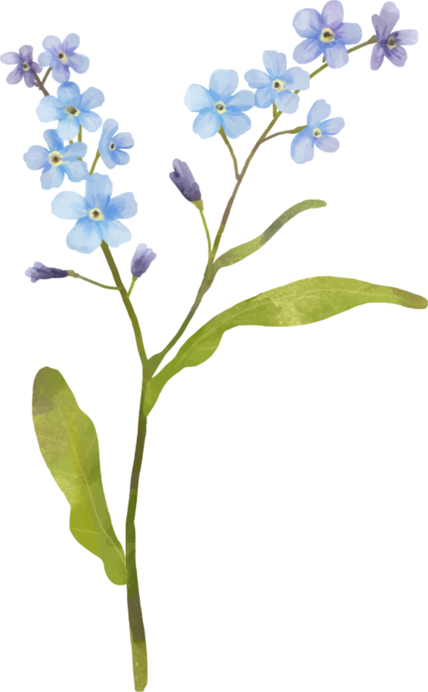 Floral rug in graceful blue plant design - TenStickers