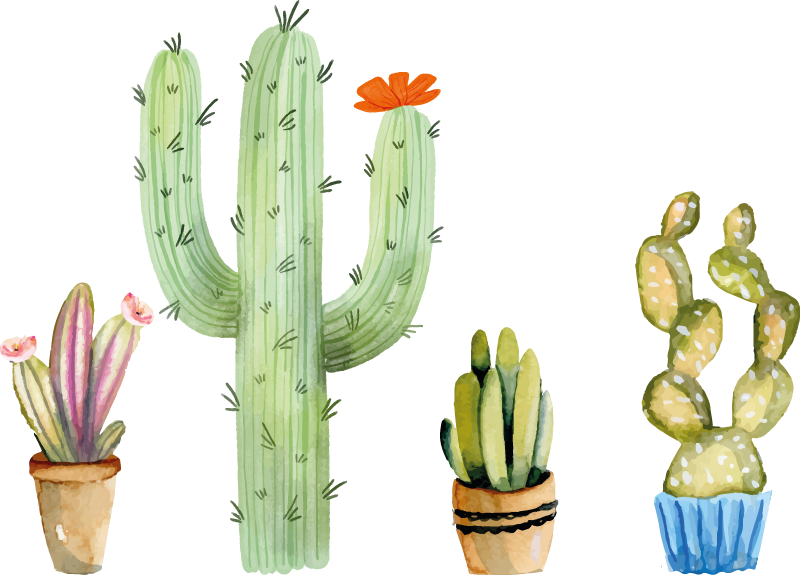 Dining room rug set of assorted cacti - TenStickers