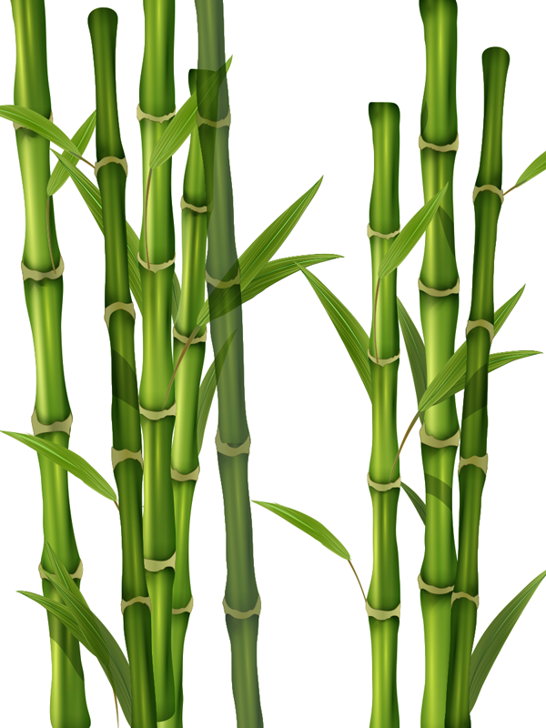 Bamboo pattern bathroom mat - TenStickers
