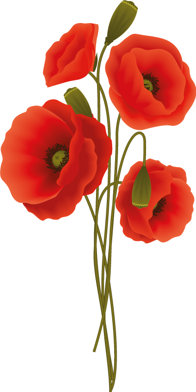 Bathroom mat with delicate poppies design - TenStickers