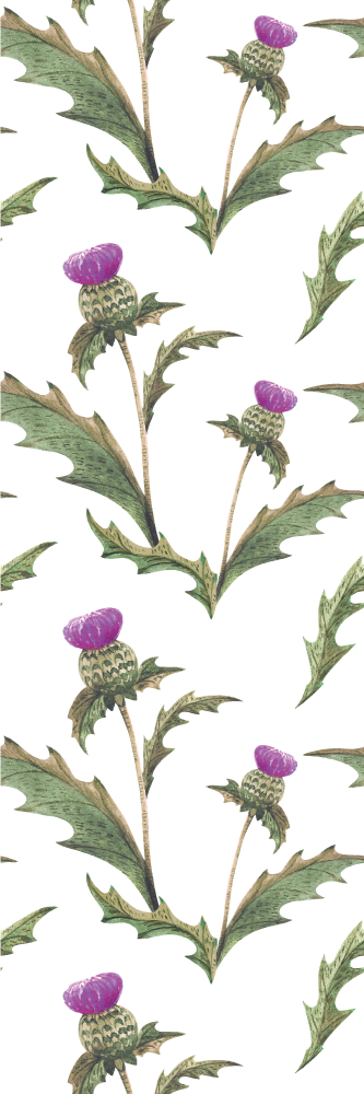 Scottish thistles bedroom carpet - TenStickers