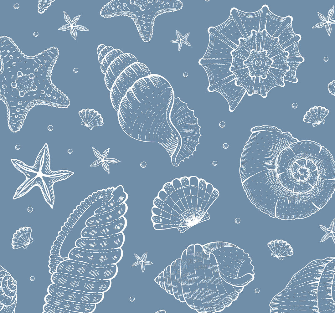 Marine life and seashells bedroom carpet - TenStickers