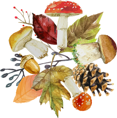 Nature rug with forest leaves and fruits - TenStickers