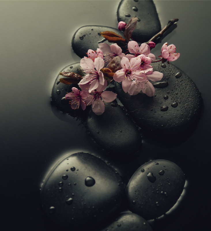 Nature rug for a zen stone bathroom ambiance - TenStickers