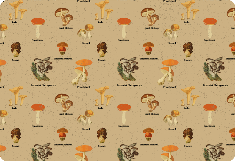 Nature rug vintage mushroom varieties - TenStickers