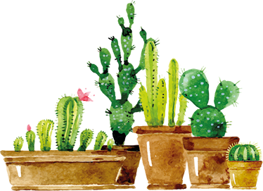 Floral rug for a diy cactus garden - TenStickers