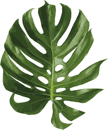 Floral rug with delicious monstera leaf design - TenStickers