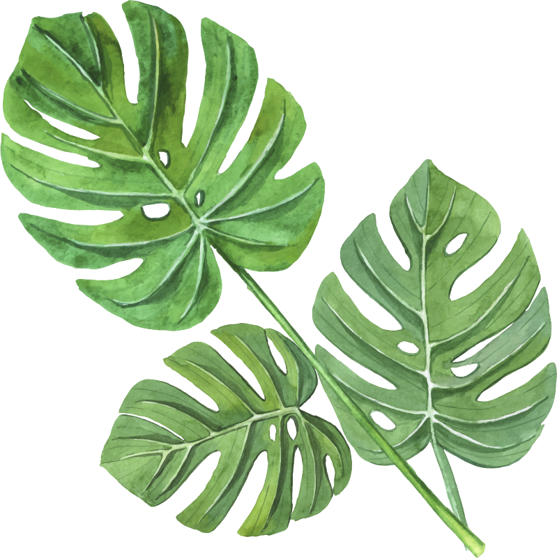 Floral rug with monstera watercolor leaves design - TenStickers