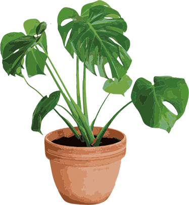 Floral rug simple monstera pot - TenStickers