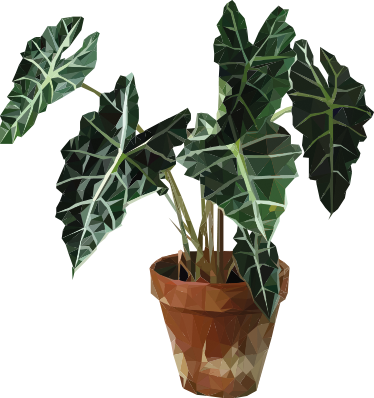 Floral rug with geometric plant pot design - TenStickers