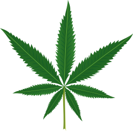 Floral rug with cannabis leaf design - TenStickers