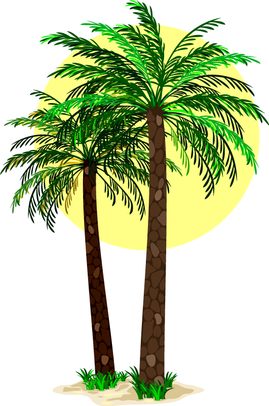 Floral rug with tropical palm trees design - TenStickers